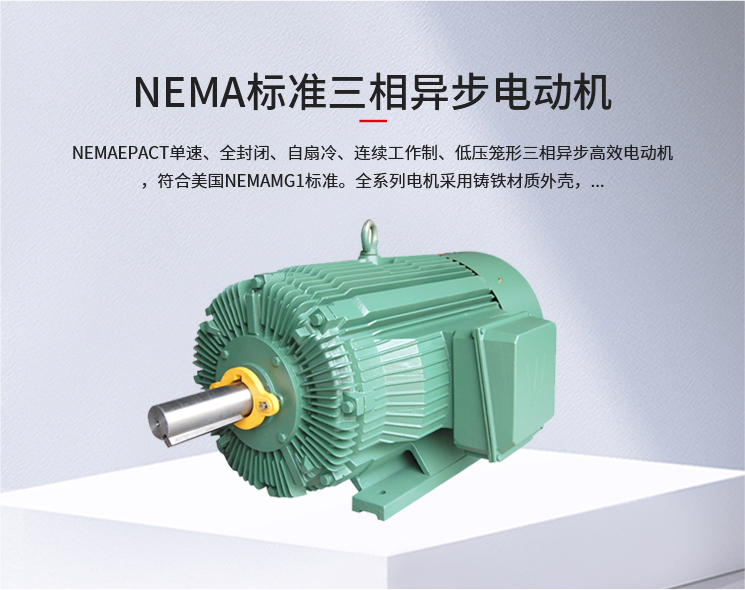 NEMA标准三相异步电动机
